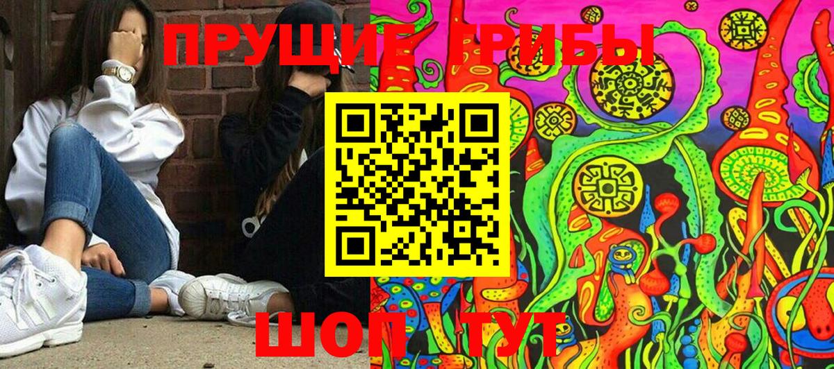 Галлюциногенные грибы Psilocybine cubensis Менделеевск